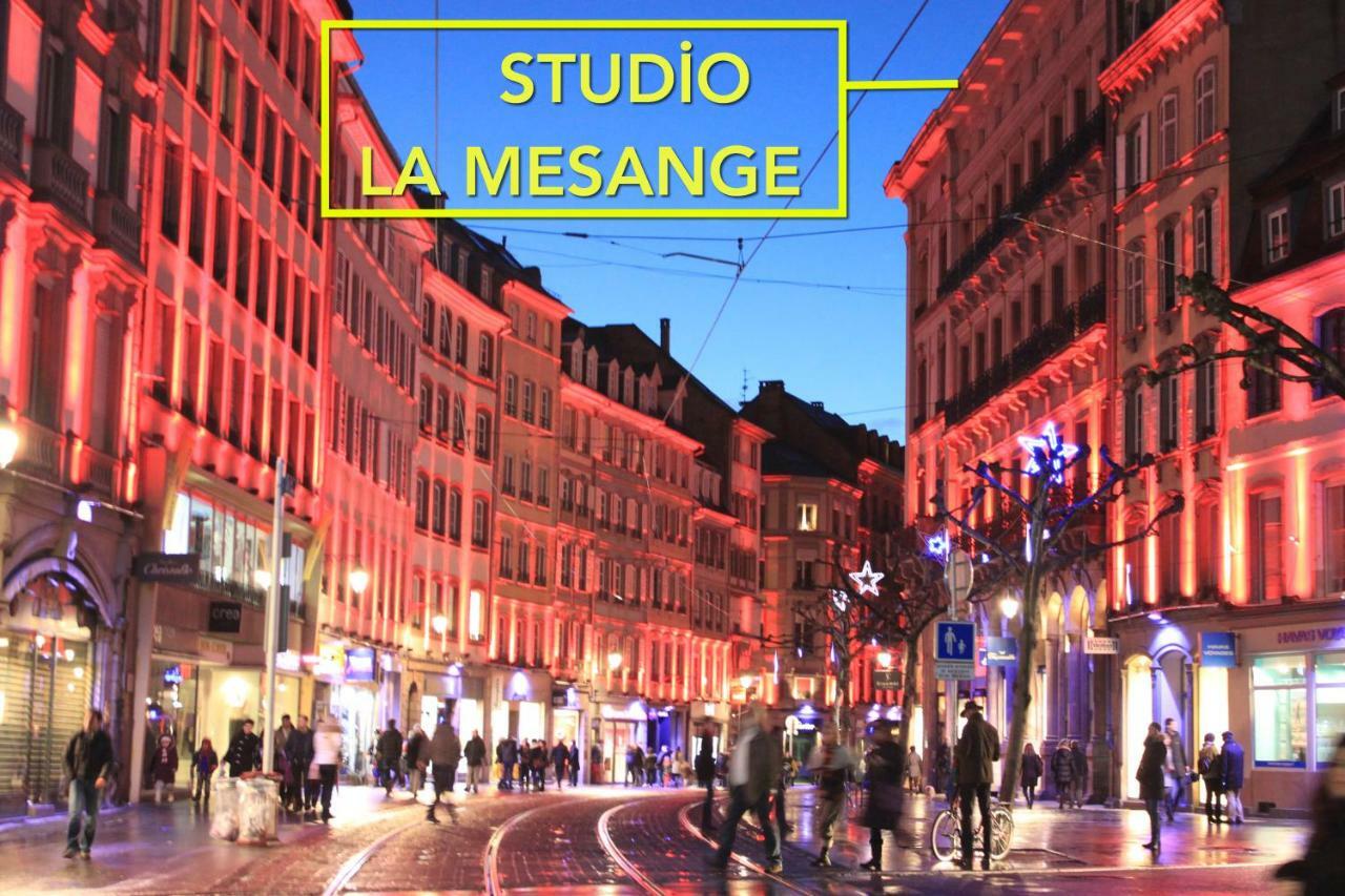 Studio La Mésange Apartamento Estrasburgo Exterior foto